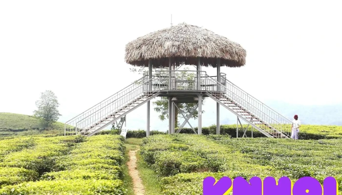 Doi Che My Thuan Principal - Tân Sơn