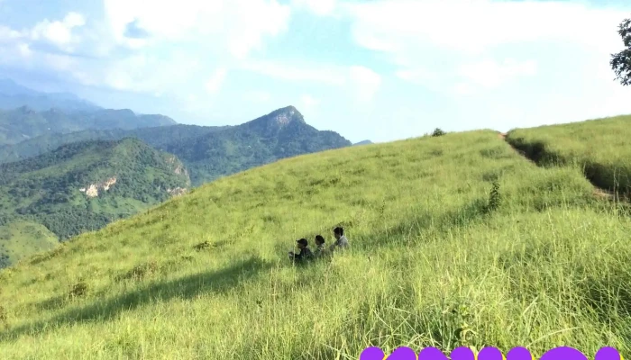 Doi Co Phieng Muong Nui - Hà Giang