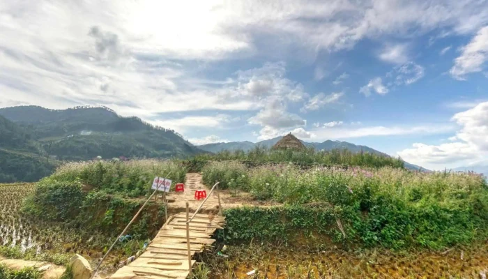 Doi Mam Xoi La Pan Tan Che Do Xem Pho Va 360deg - Yên Bái