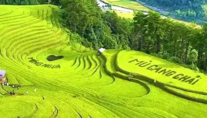 Doi Mam Xoi La Pan Tan Video - Yên Bái