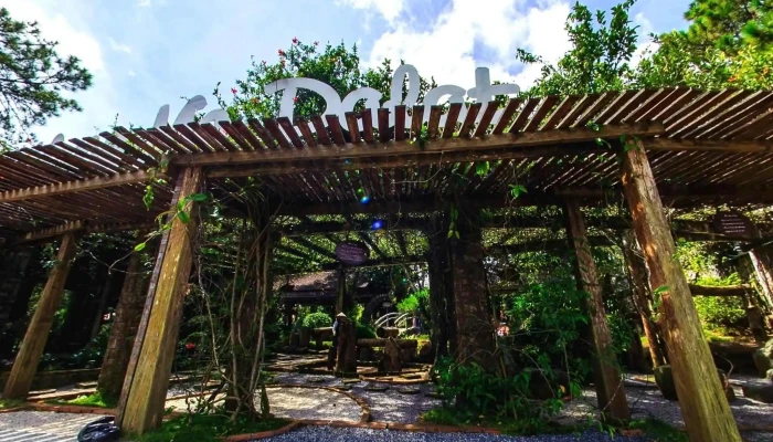 Doi Mong Mo Da Lat Che Do Xem Pho Va 360deg - Lâm Đồng
