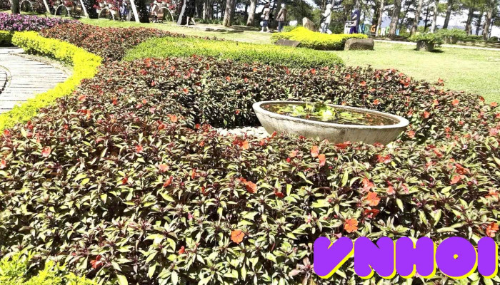 Doi Mong Mo Da Lat Video - Lâm Đồng