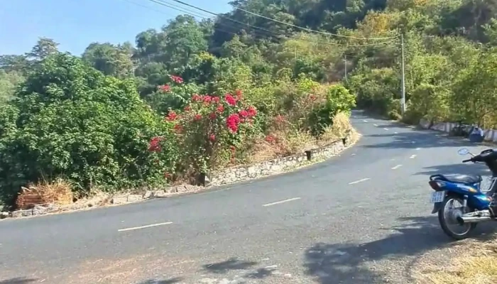 Doi Mong Mo Moi Nhat - An Giang