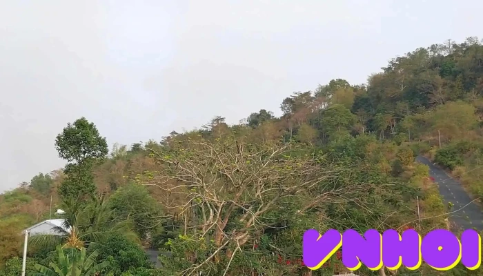 Doi Mong Mo Rung - An Giang