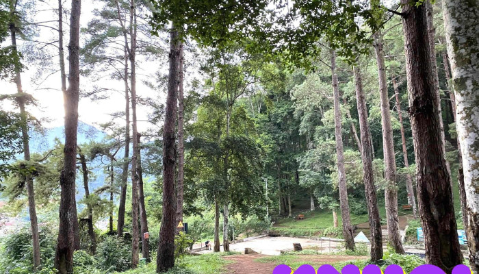 Doi Thong Eo Gio Tat Ca - Yên Bái