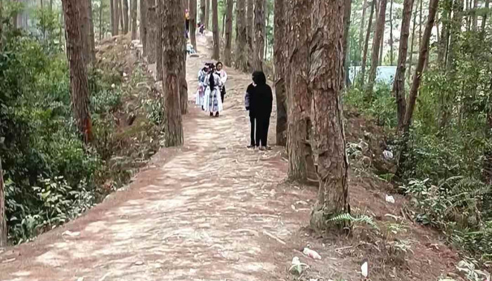 Doi Thong Han Cuon Dua Video - Yên Bái