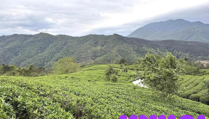 Don Dien Che Kolia Moi Nhat - Cao Bằng