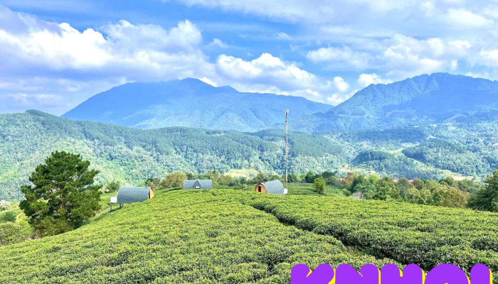 Don Dien Che Kolia Tat Ca - Cao Bằng