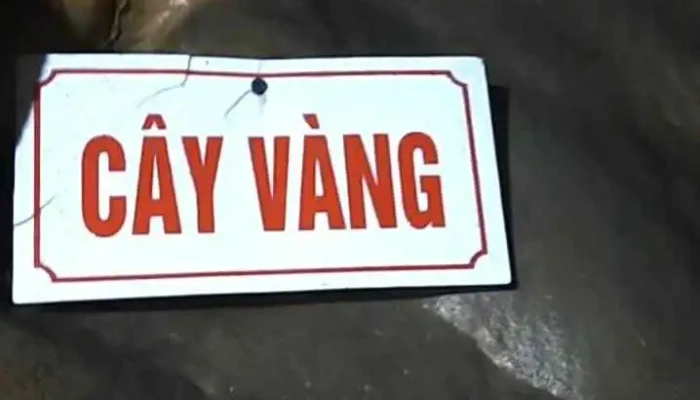 Dong Coc Da Bac Video - Hòa Bình