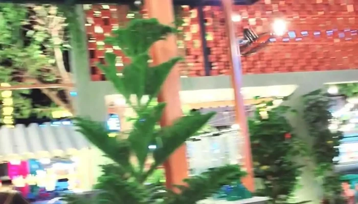 Dong Dong Food Chill Video - Bình Thuận