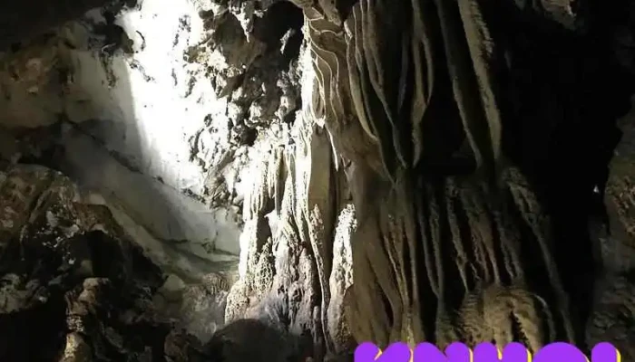 Dong Trung Trang Tat Ca - Hải Phòng