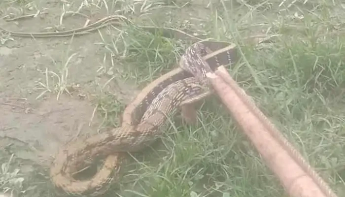 Du Lich Ha Giang Video - Hà Giang