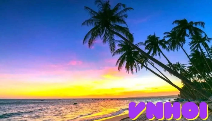 Du Lich Phan Thiet Mui Ne Cua Chu So Huu - Bình Thuận