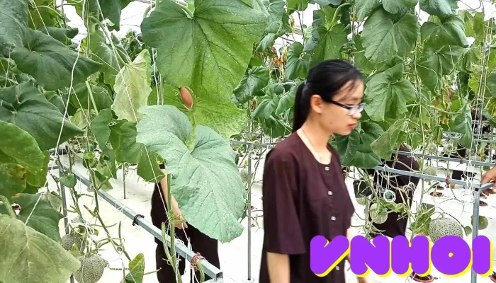 Du Lich Phu An Khang Video - Bến Tre