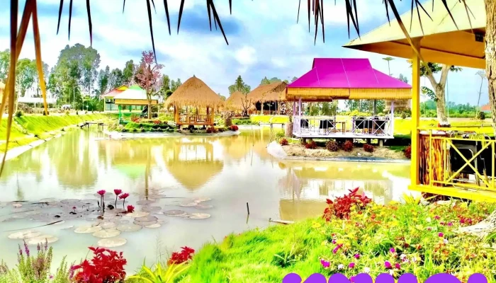 Du Lich Sinh Thai Coi Nguon Tat Ca - Tiền Giang