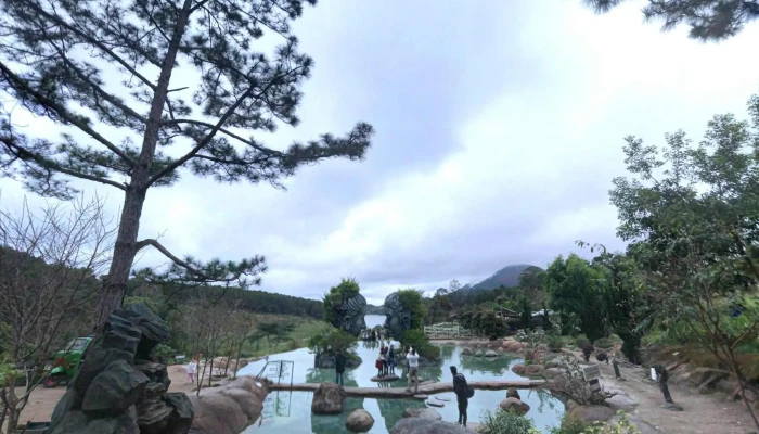Duong Ham Hoa Xa Da Lat Che Do Xem Pho Va 360deg - Lâm Đồng