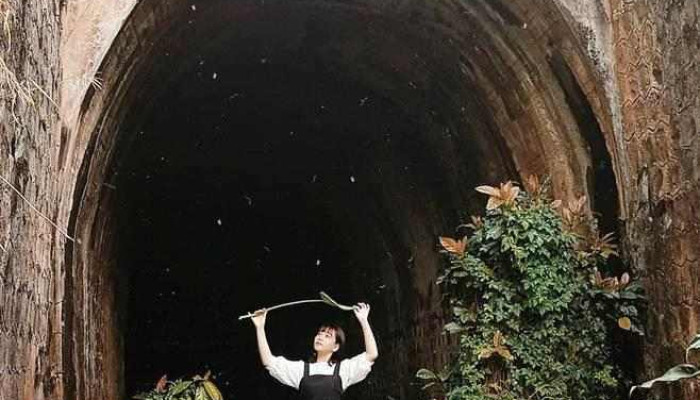 Duong Ham Hoa Xa Da Lat Tat Ca - Lâm Đồng