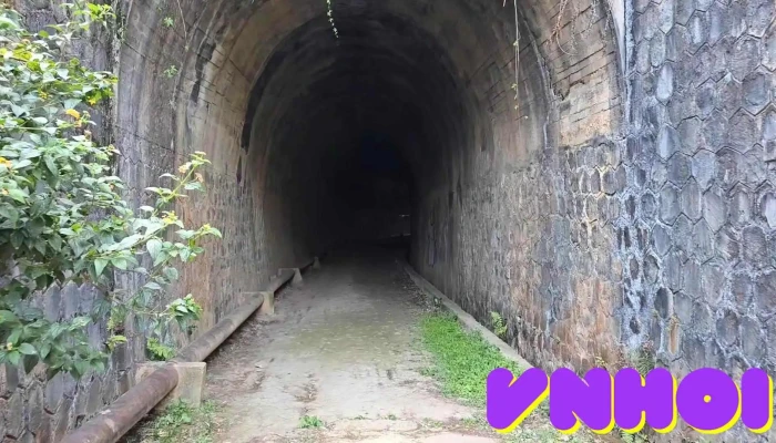 Duong Ham Hoa Xa Da Lat Video - Lâm Đồng