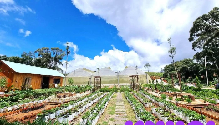 Farmers Garden - Kon Plông