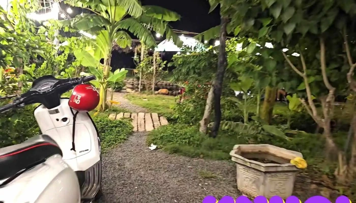 Farmstay -    Diem Dung Chan Nam Hoang Phat   Diem Tham Quan Vuon Thanh Long Trai Dong Cat Khong Gian Ben Trong - Bình Thuận