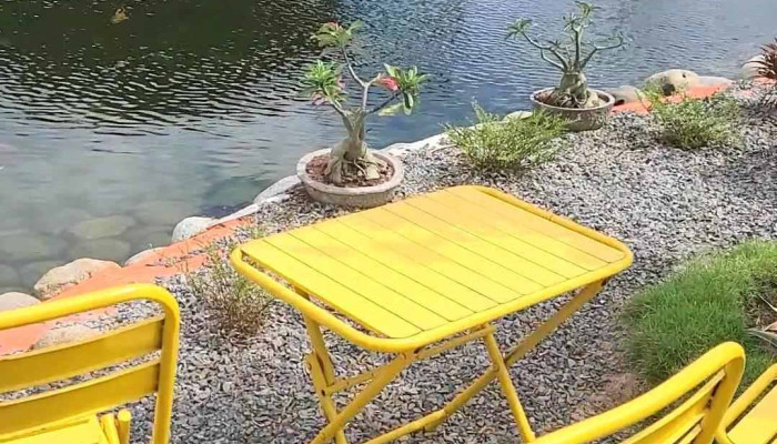 Farmstay -    Diem Dung Chan Nam Hoang Phat   Diem Tham Quan Vuon Thanh Long Trai Dong Cat Video - Bình Thuận