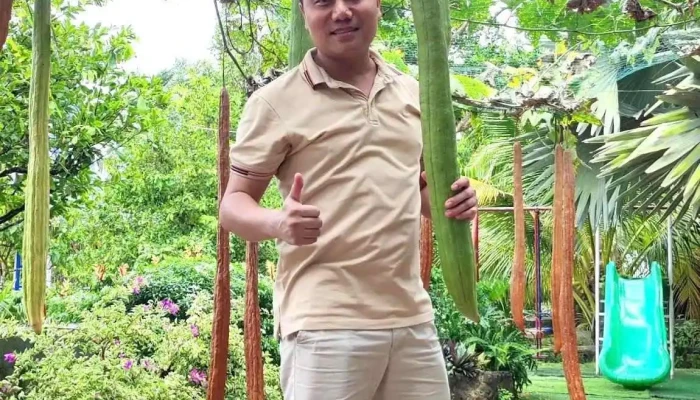 Farmstay Sinh Thai Nguyen Gia Moi Nhat - Bến Tre