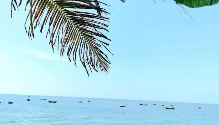 Fresh coco beach - Bình Thuận