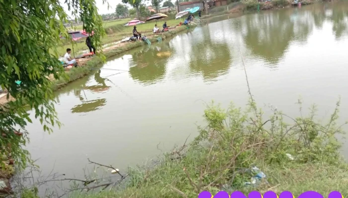 Gara Ô Tô Duy Khiêm - Tam Dương - Vĩnh Phúc - Tam Dương