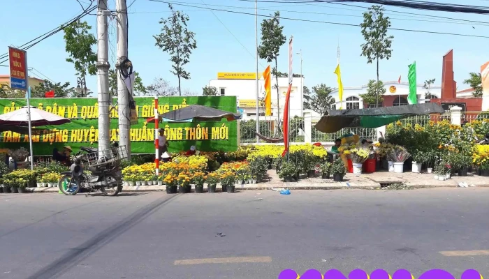 Giong Rieng Tat Ca - Kiên Giang