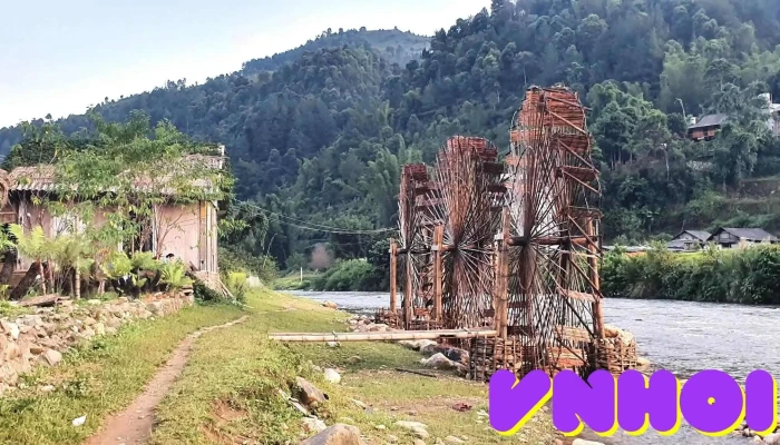 Guong Nuoc Mu Cang Chai Rung - Yên Bái