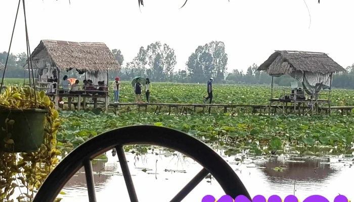 Gò Minh Sư - Tân Kiều