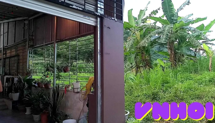 Ha Giang Ali Hostel -  Cua Khach Tro - Hà Giang