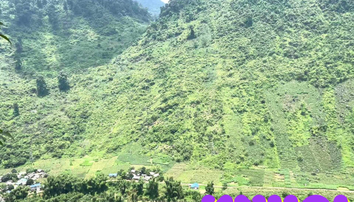Ha Giang Ali Hostel -  Video - Hà Giang