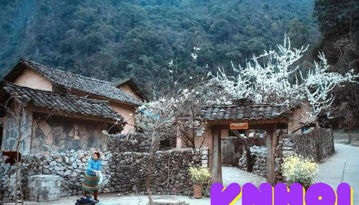 Ha Giang Donkey Backpackers Hostel Loop Tours Tat Ca - Hà Giang