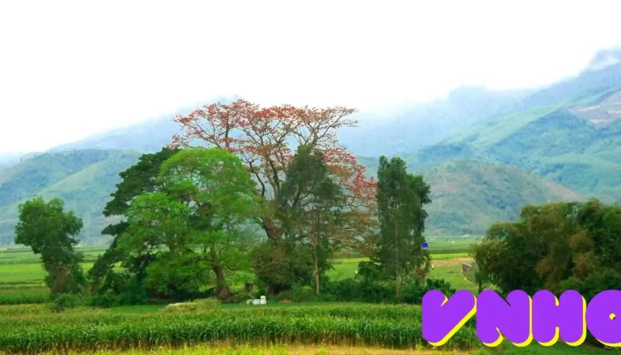 Hà Nha - Quảng Nam