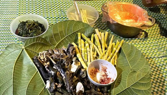 Hang De Cho Homestay Tat Ca - Yên Bái