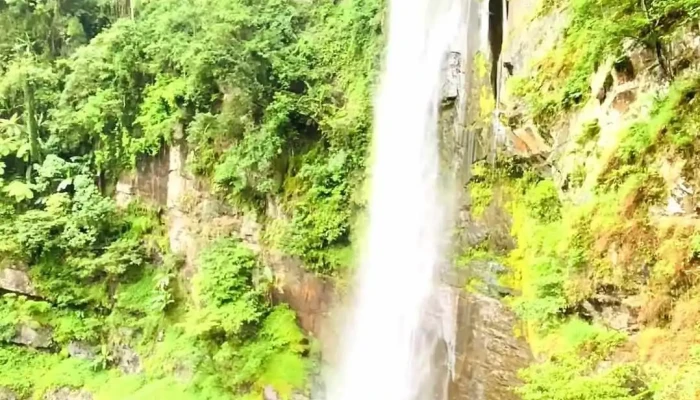 Hang De Cho Homestay Video - Yên Bái