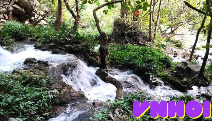 Hang Phuong Hoang Tat Ca - Thái Nguyên