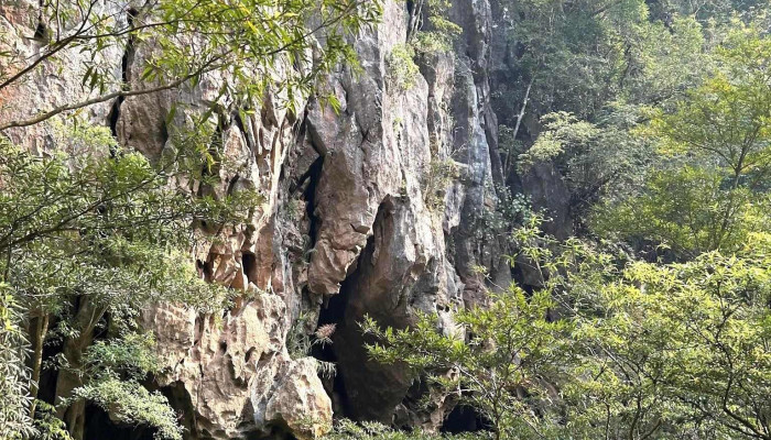 Hang Thuỷ Cung - Bố Trạch
