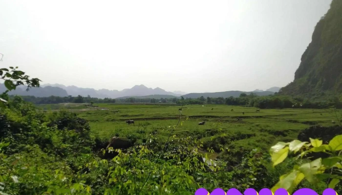 Hang Trinh Nu Nui - Hòa Bình