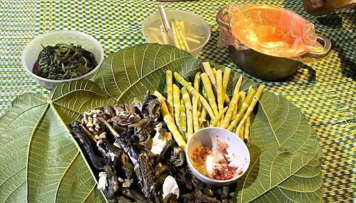 Háng Đề Chơ Homestay - Yên Bái