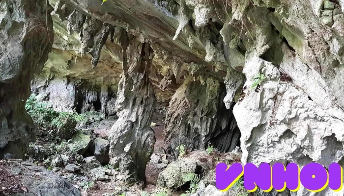 Hang Động Thẩm Dường - Yên Bái