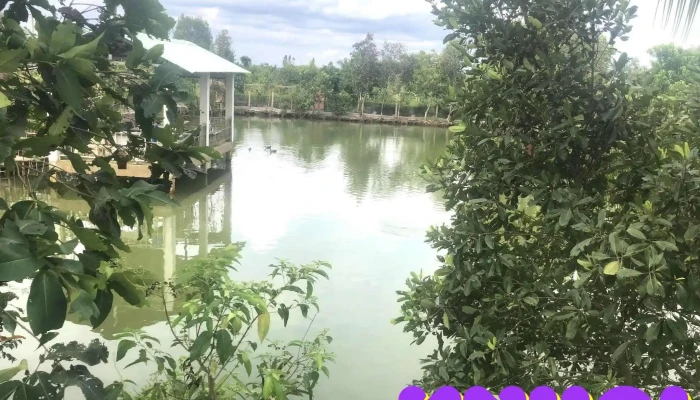 HaoNguyen's Farm - Xã
