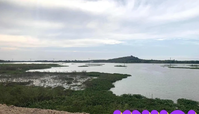 Ho Bien Lac Tat Ca - Bình Thuận