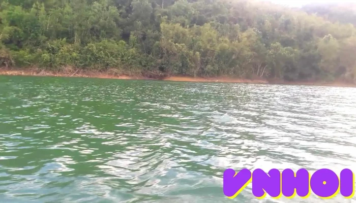 Ho Da Mi Video - Bình Thuận