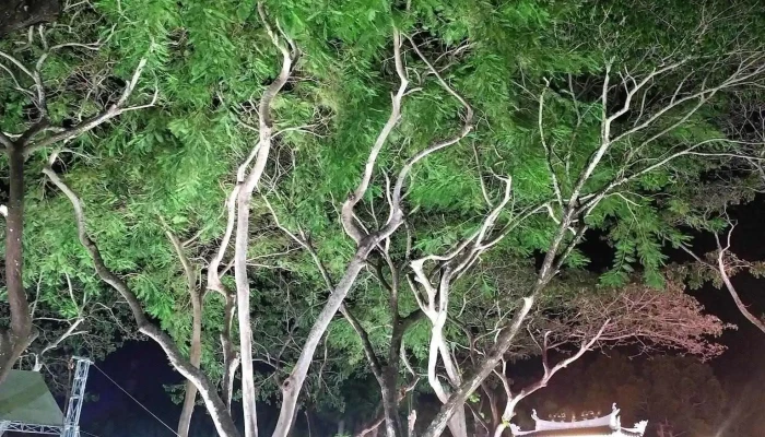 Ho Khong Tu Moi Nhat - Đồng Tháp