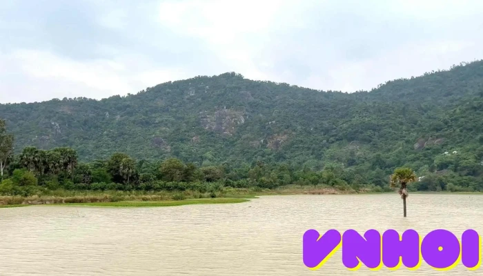 Ho O Thum Video - An Giang