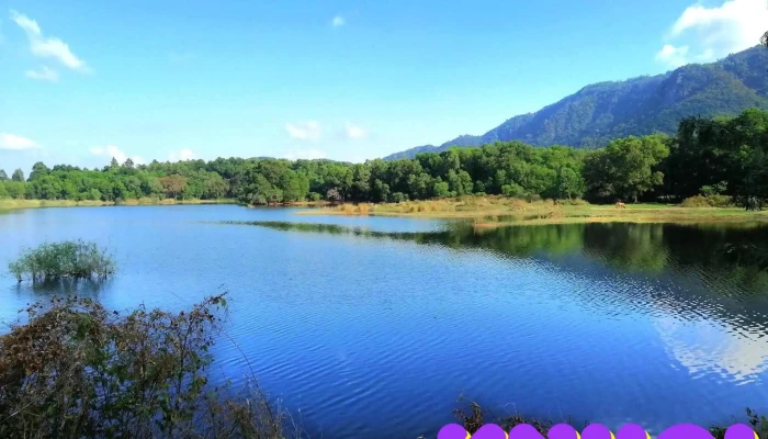 Ho O Tuc Sa Otuksa Tat Ca - An Giang