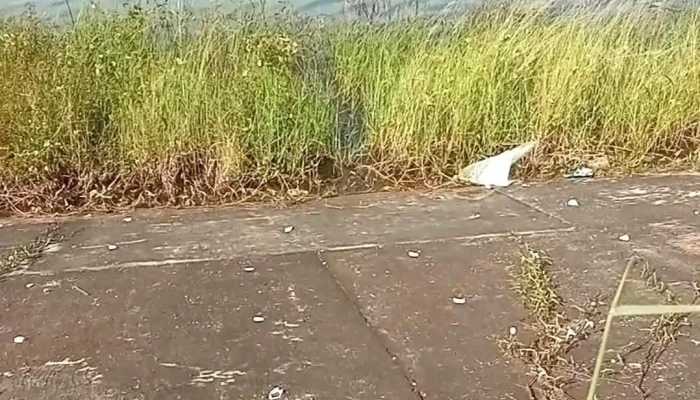 Ho Suoi Giai Video - Bình Phước