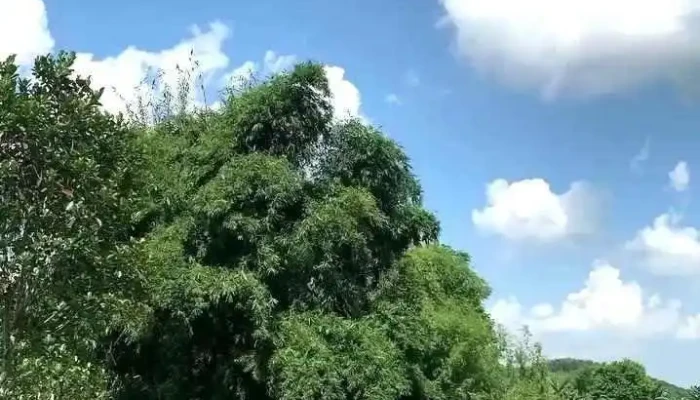 Hoa Binh Hideaway Camping Cua Chu So Huu - Hòa Bình